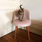 Chaise vintage en velours rose pastel